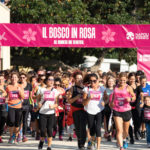 Bosco in Rosa – Corri tra i capolavori